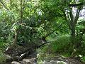 2012-0615-1550_Morden_Park_17C